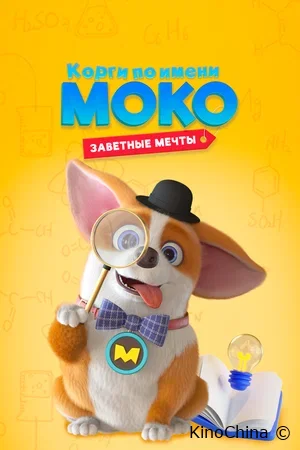 Корги по имени Моко. Заветные мечты
