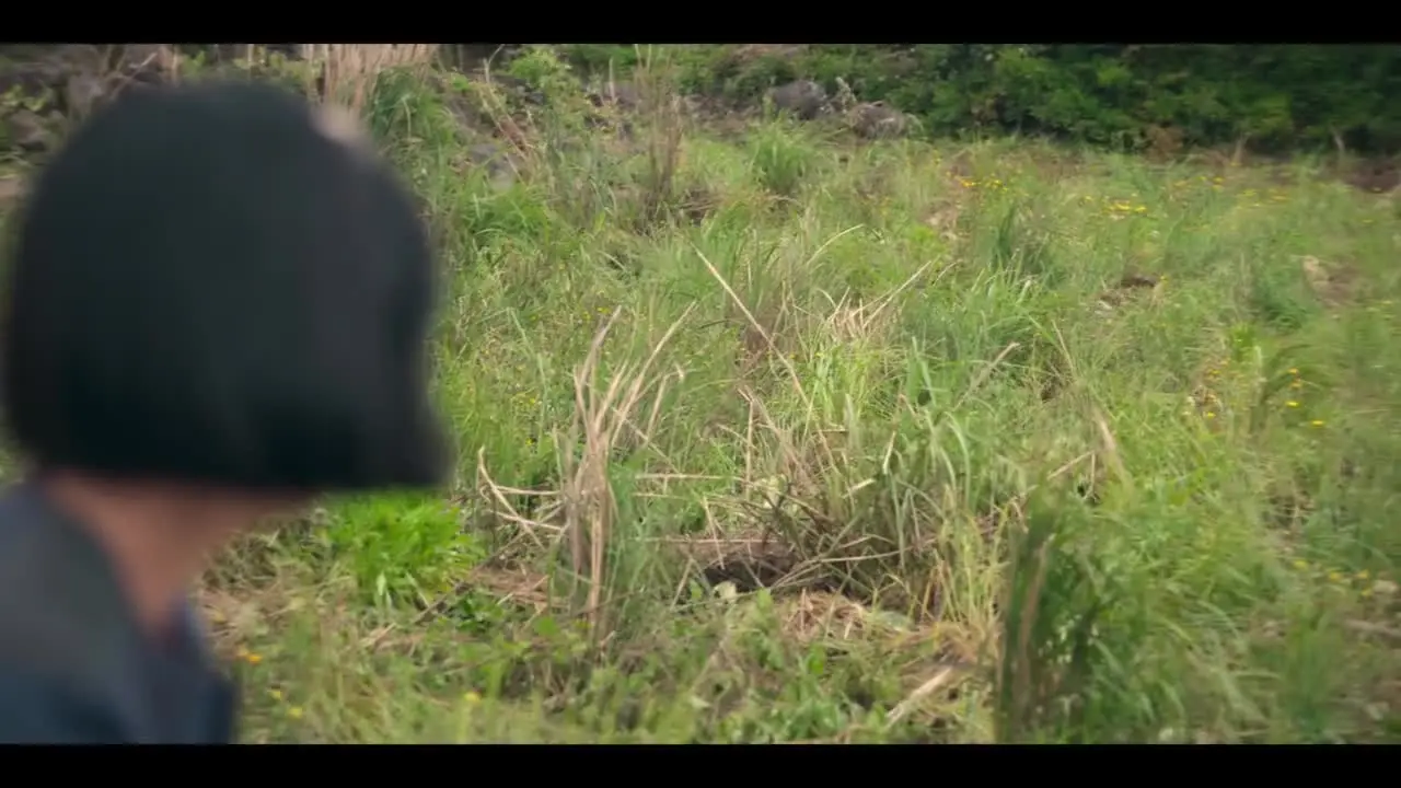 Когда жизнь даёт тебе мандарины