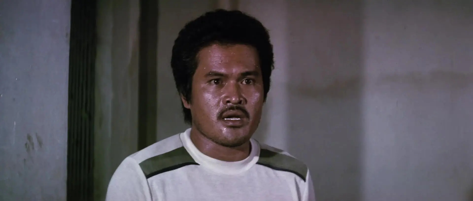 Клоны Брюса Ли