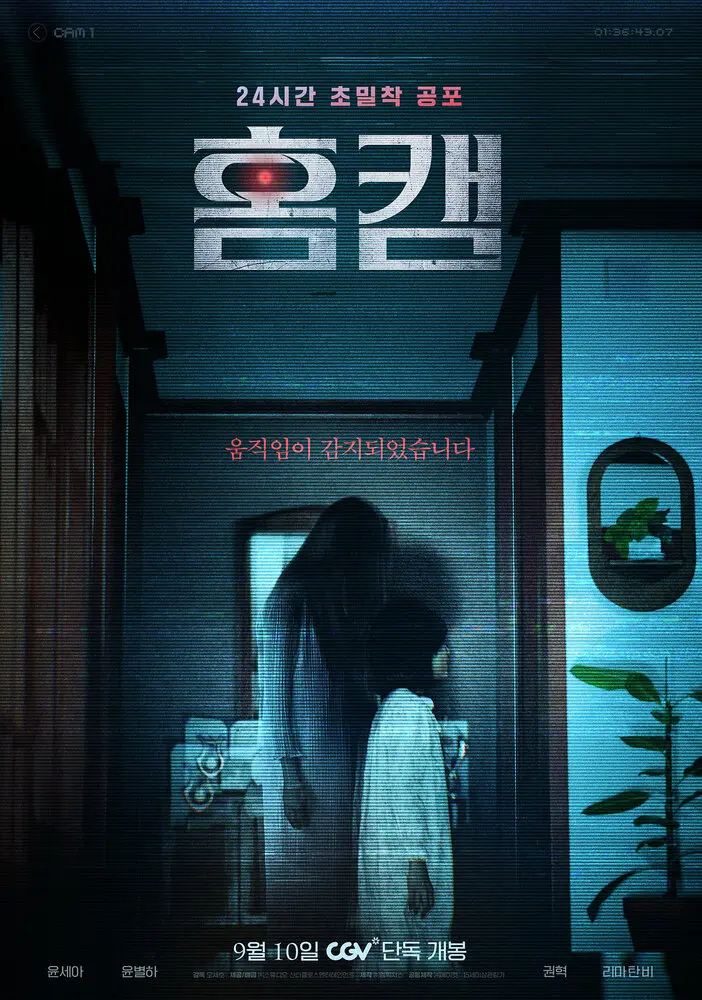 Домашняя камера