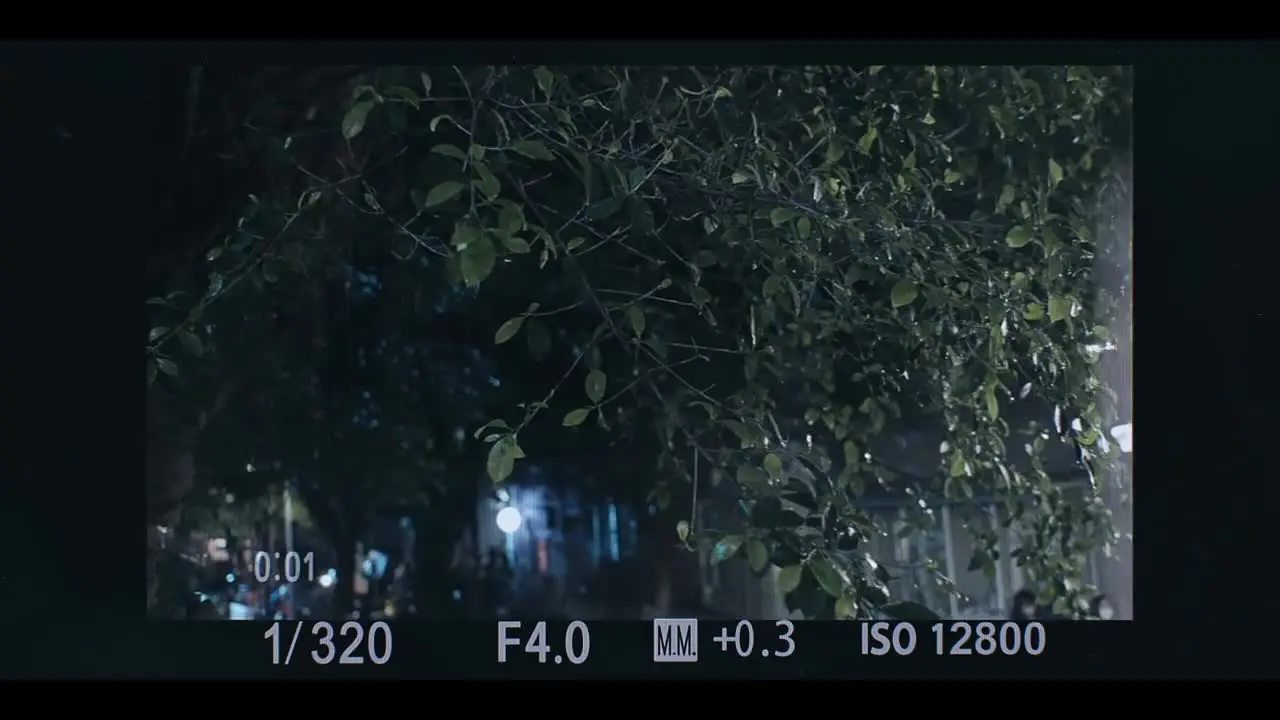 Если бы я не видел солнца обложка